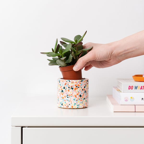 Small white plant pot with rainbow terrazzo chips being placed on a desk. Planter is next a to stack of books in a colourful setting.
