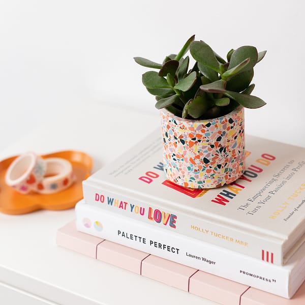 Small colourful terrazzo plant pot with a succulent in pot in a colourful setting. The planter is on a stack of books with a decorative tray next to it.