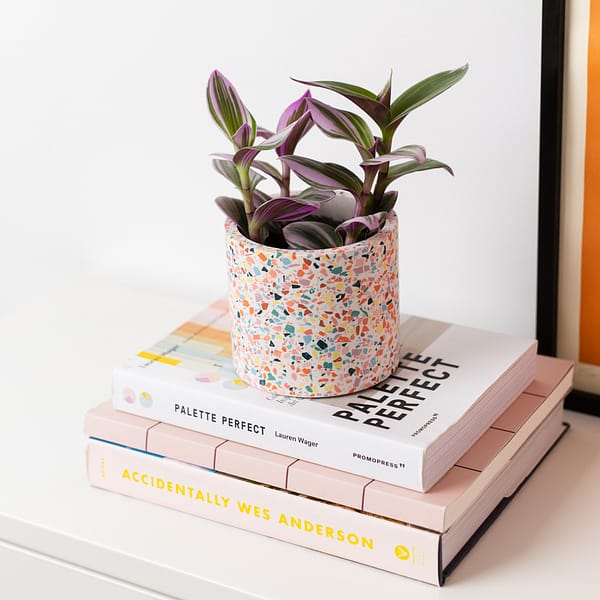 Medium (8.5cm, 8 ") rainbow handmade planter with handmade terrazzo chips styled on a desk. The planter is on a stack of books and next to a colourful art print with photo shot at an angle.