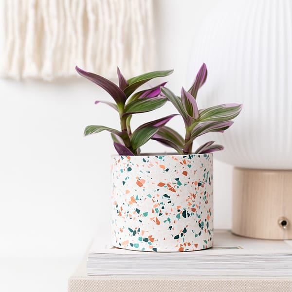 Medium (8.5cm, 8 ") white handmade planter with handmade terrazzo chips styled on a desk. The planter is on a stack of books, next to a scandi style lamp in the living room. Planter has a tradescantia planted inside.